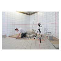 Bosch Linienlaser GLL 3-80 C + Alkaline + Carton